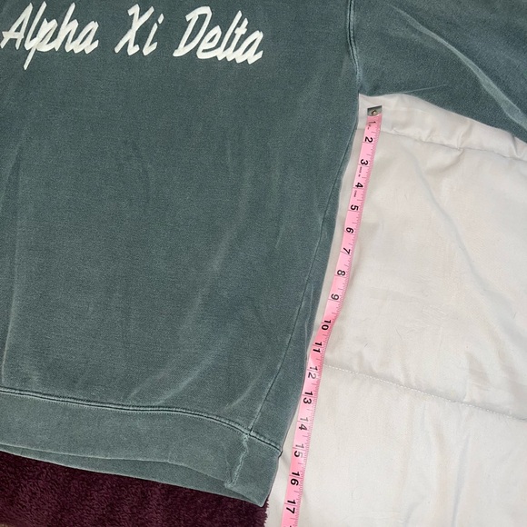 Comfort Colors Alpha Xi Delta (AXiD) crewneck - Picture 4 of 9